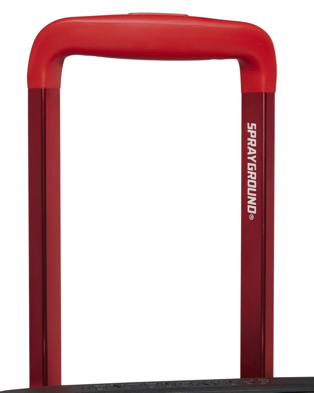 VENI VIDI VICI LUGGAGE