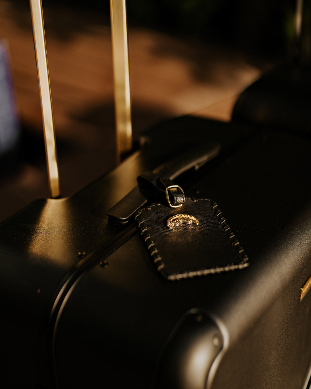 REALITY CHECK SHARKITECTURE FULL-SIZE JETBLACK LUGGAGE (GOLD HARDWARE)