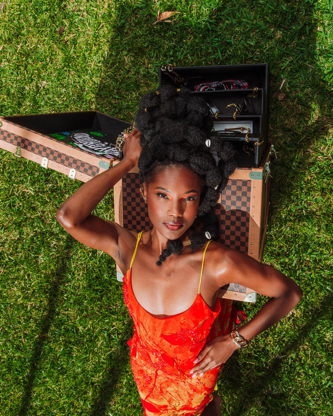 HENNYVILLE SHARKS IN PARIS TRUNK